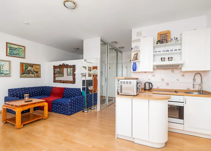 One Bedroom With Balcony In By Renters Apartment